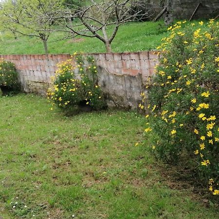 Fondu La Llosa - Casita Cerca De Gijon - Vv-662-As ビリャビシオサ エクステリア 写真