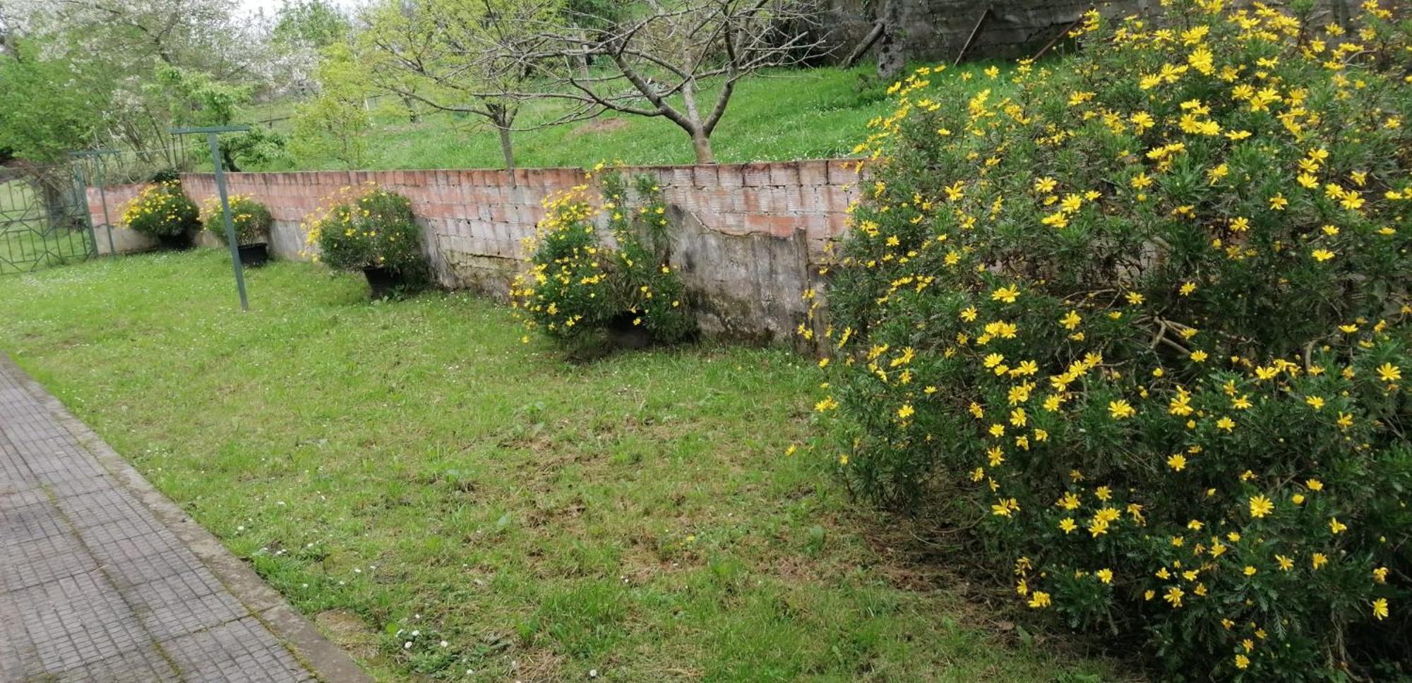 Fondu La Llosa - Casita Cerca De Gijon - Vv-662-As ビリャビシオサ エクステリア 写真
